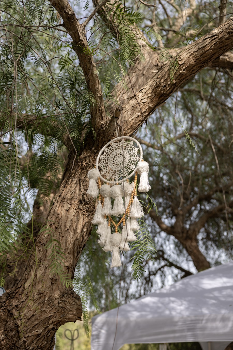 Traumfänger im Baum